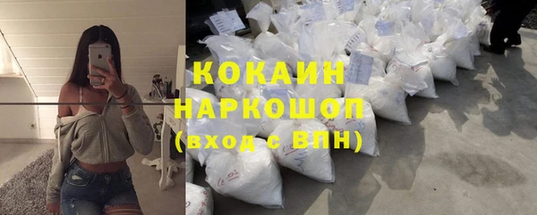 кокс Бородино