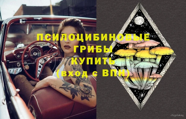 кокс Бородино