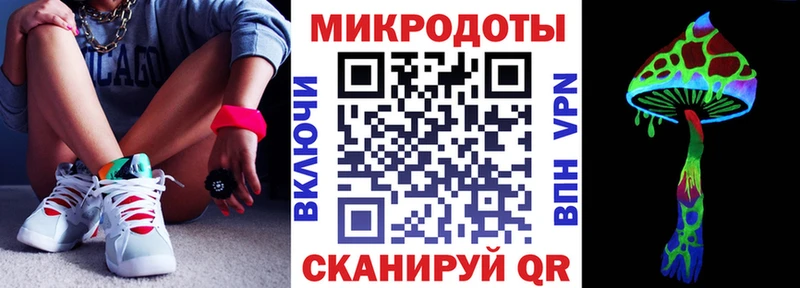 Псилоцибиновые грибы Psilocybe  Городец 
